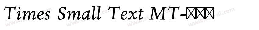Times Small Text MT字体转换